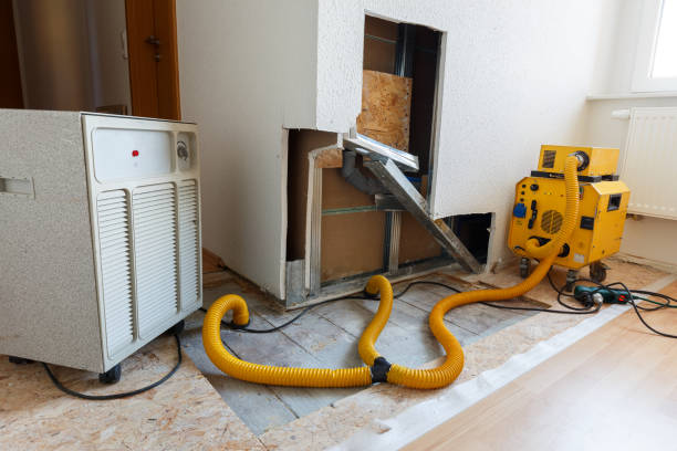 Best Mold Damage Restoration  in Tioga, TX